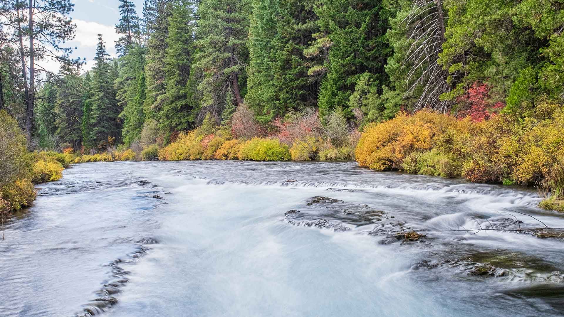 Island Park Float River
