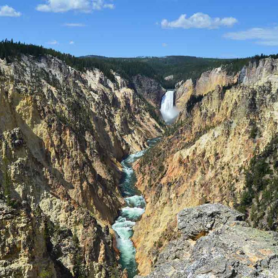 Grand Canyon of Yellowstone